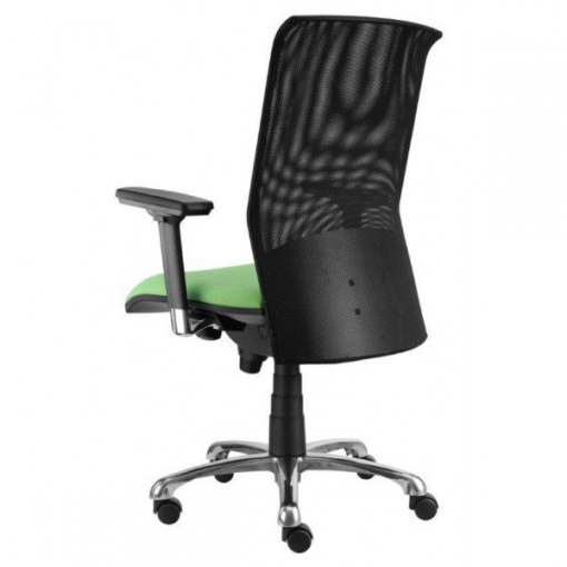 Síťovaná židle REFLEX ŠÉF - zezadu