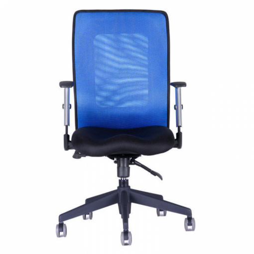 Síťovaná židle CALYPSO GRAND - zepředu (modrá)