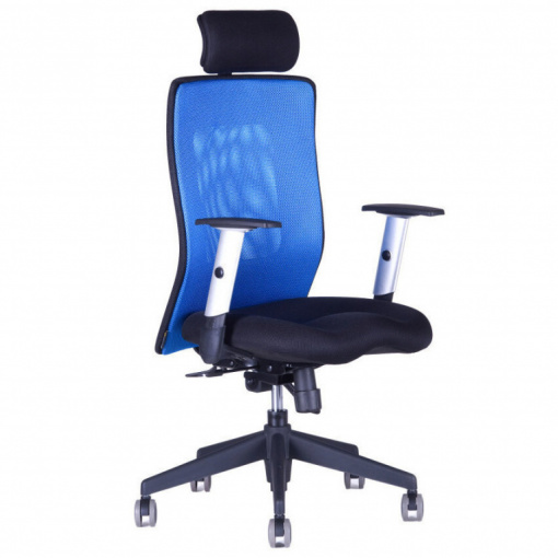 Síťovaná židle CALYPSO XL s nastavitelným podhlavníkem P1