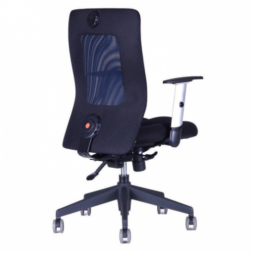 Síťovaná židle CALYPSO XL - zezadu (modrá)