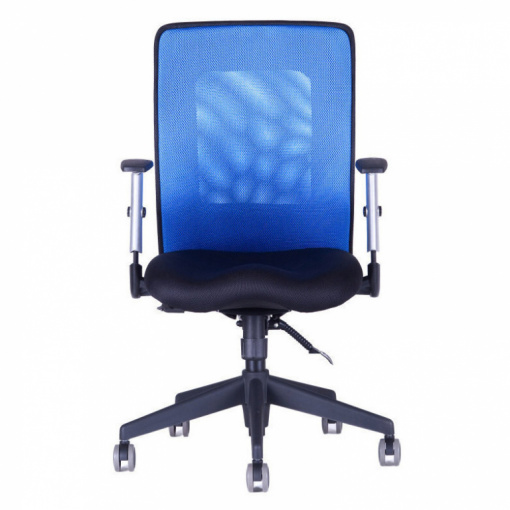 Síťovaná židle CALYPSO XL - zepředu (modrá)