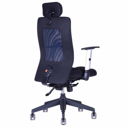 Síťovaná židle CALYPSO XL s pevným podhlavníkem P4