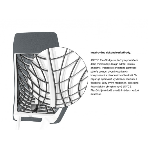 Kancelářská síťovaná židle JOYCEis3 - FlexGrid, detail opěráku