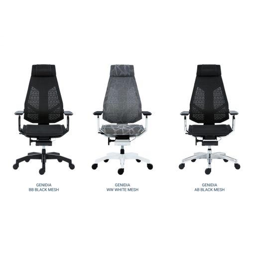 Exkluzivní kancelářská židle GENIDIA varianty